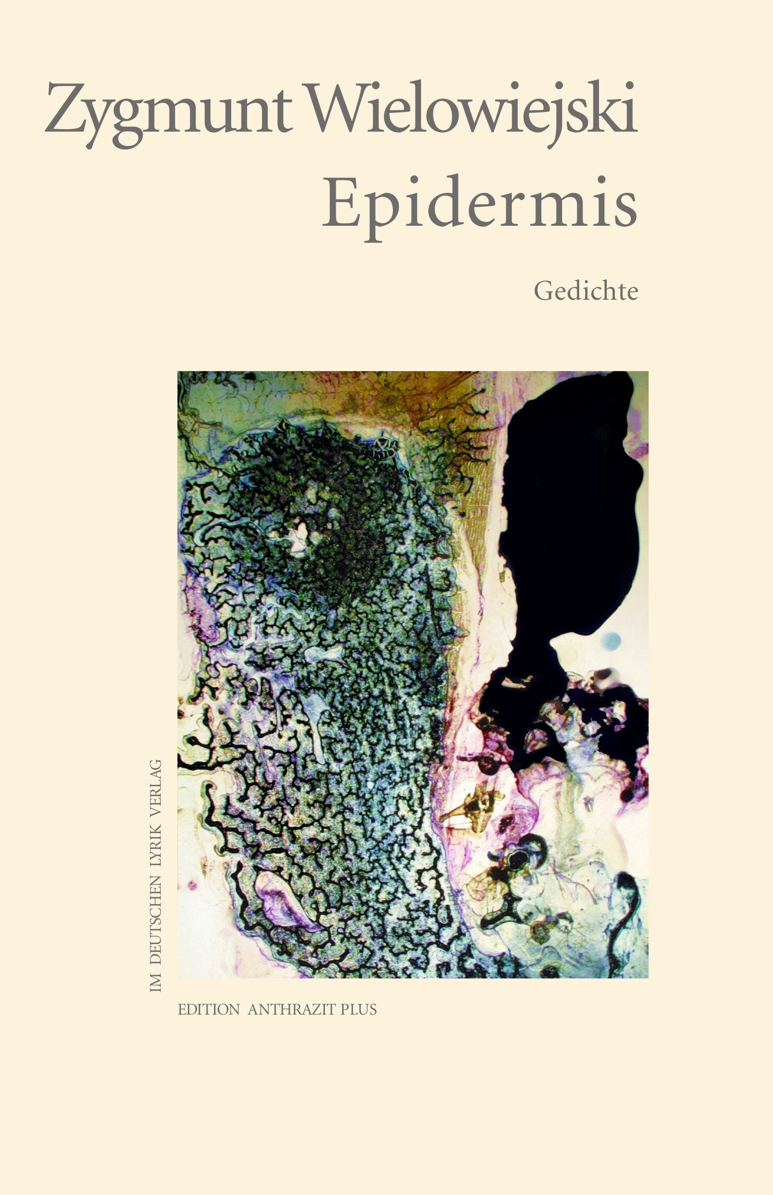 Epidermis